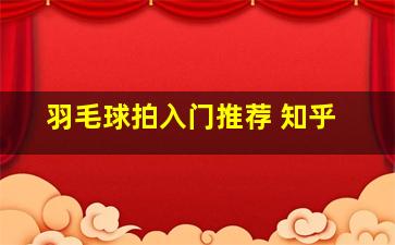 羽毛球拍入门推荐 知乎